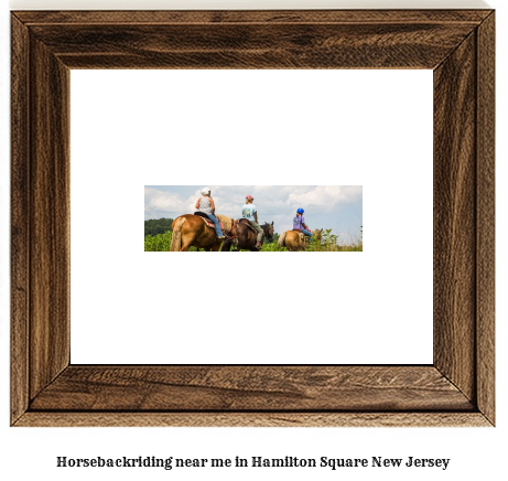 horseback riding near me in Hamilton Square, New Jersey